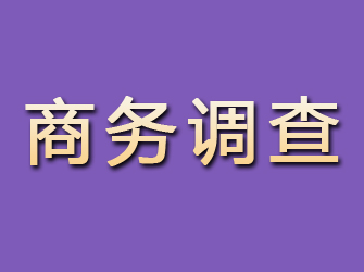 长宁商务调查